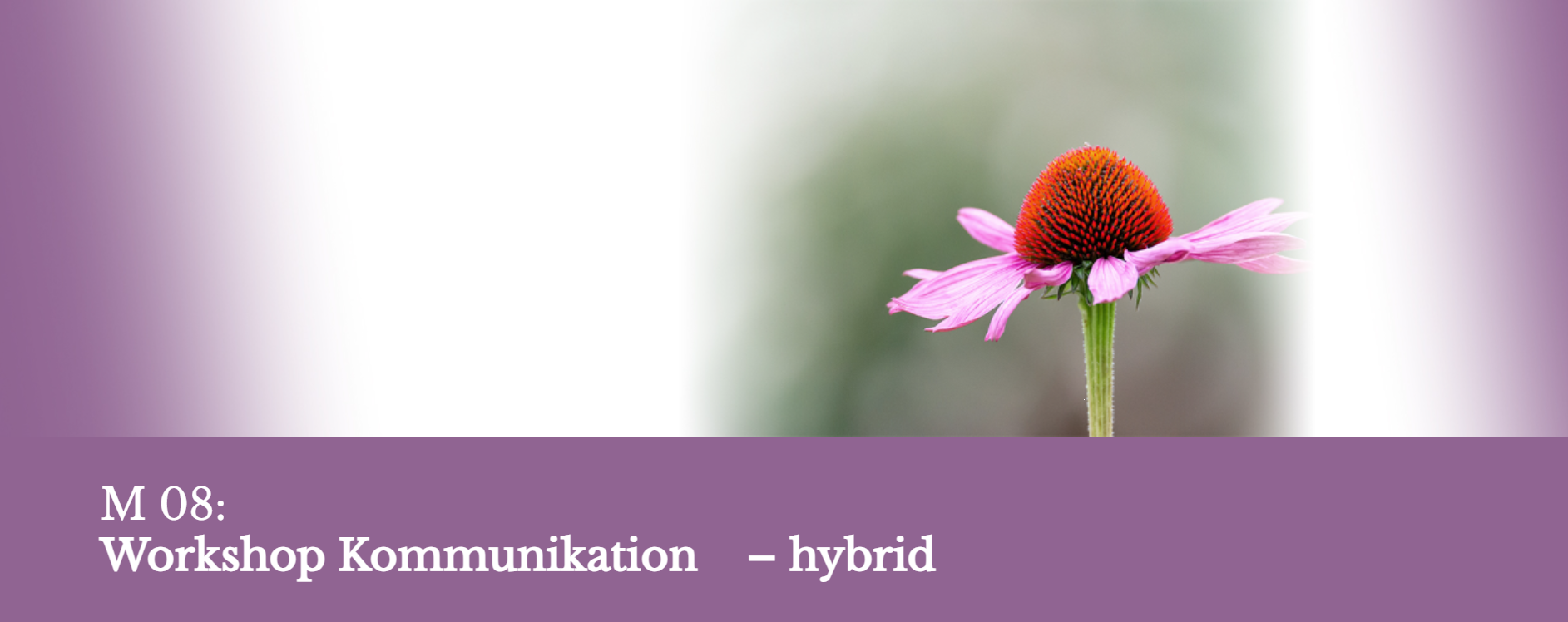 Hospiz-Akademie: Workshop Kommunikation – hybrid